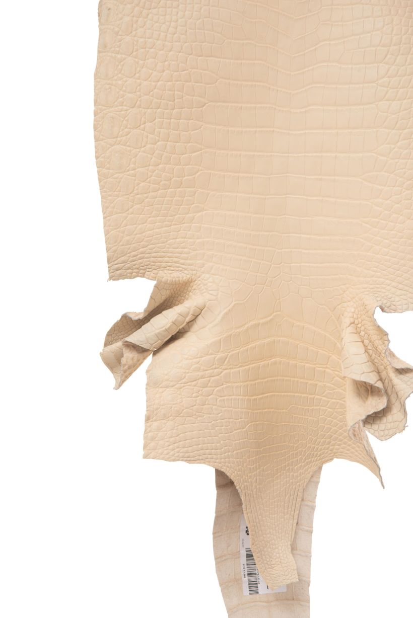 Crocodile Skin