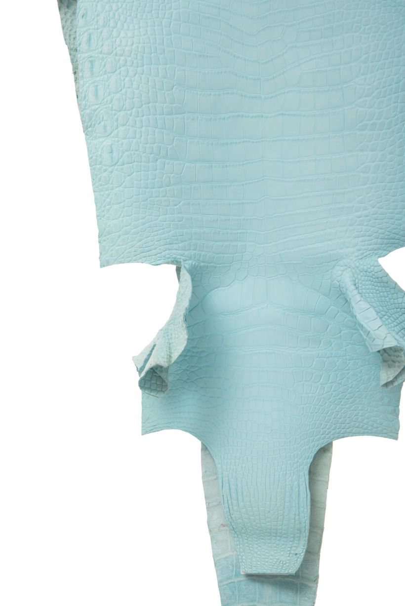 Crocodile Skin