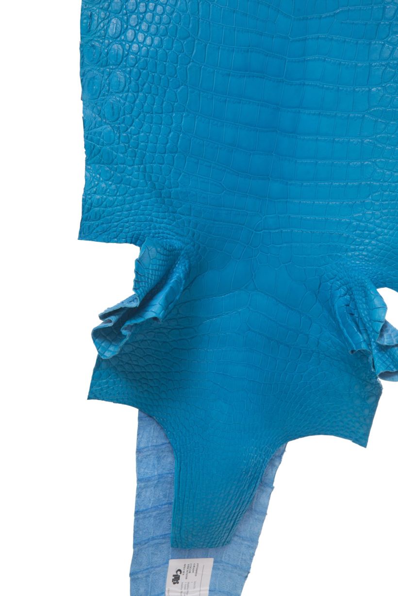 Crocodile Skin