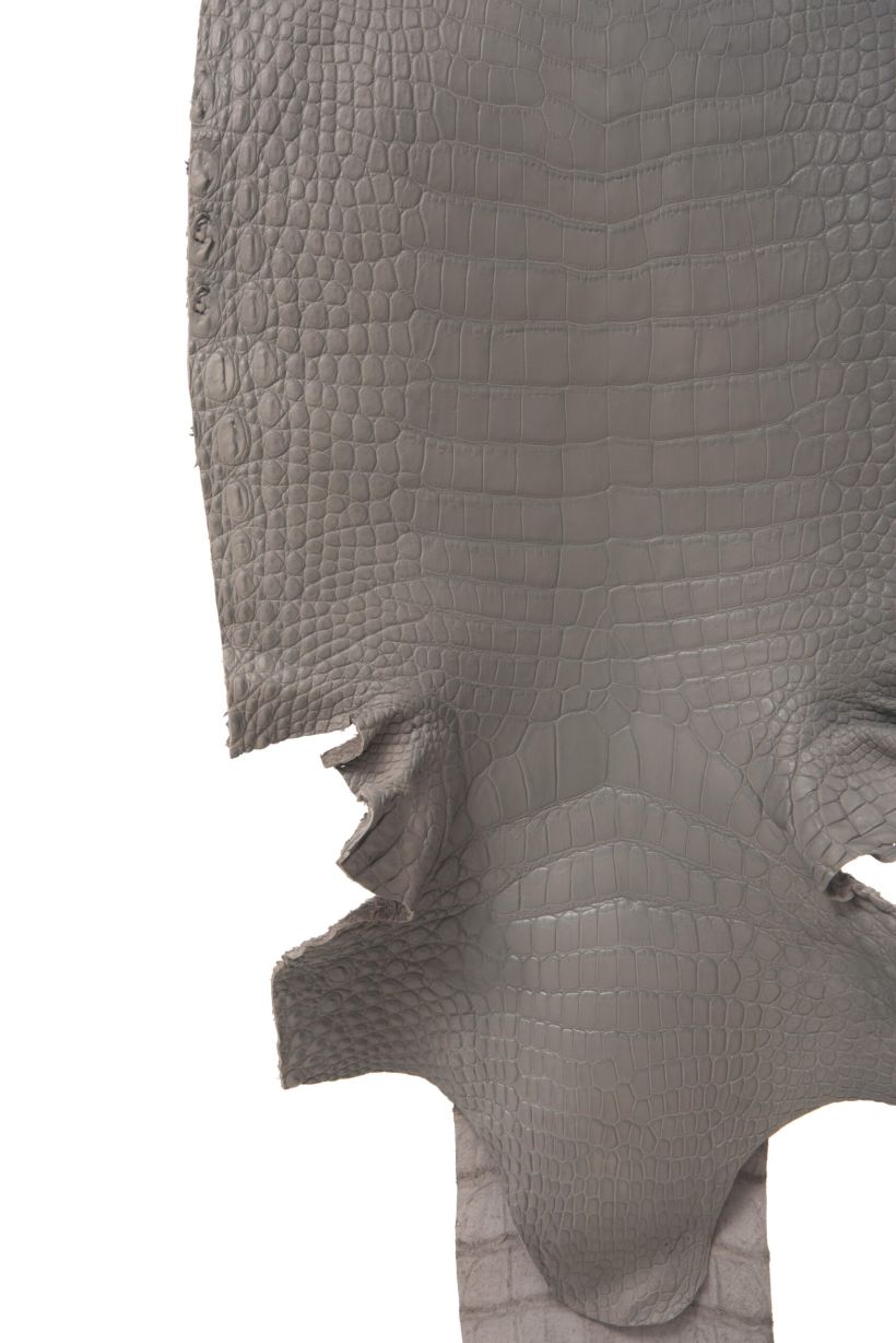 Crocodile Skin