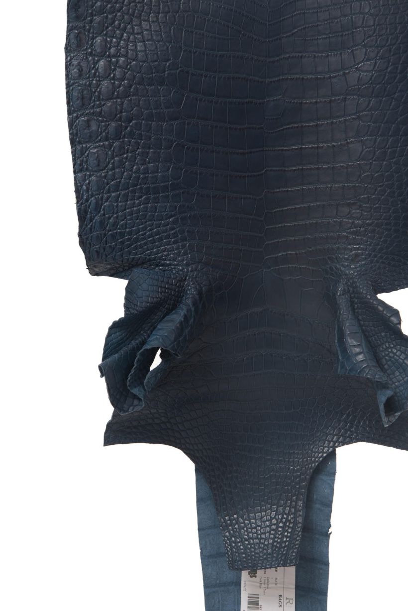Crocodile Skin