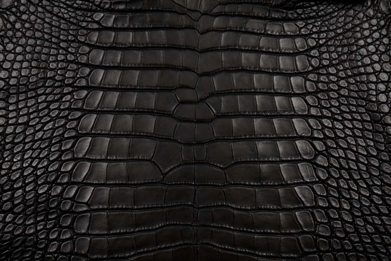 Measuring crocodile skin