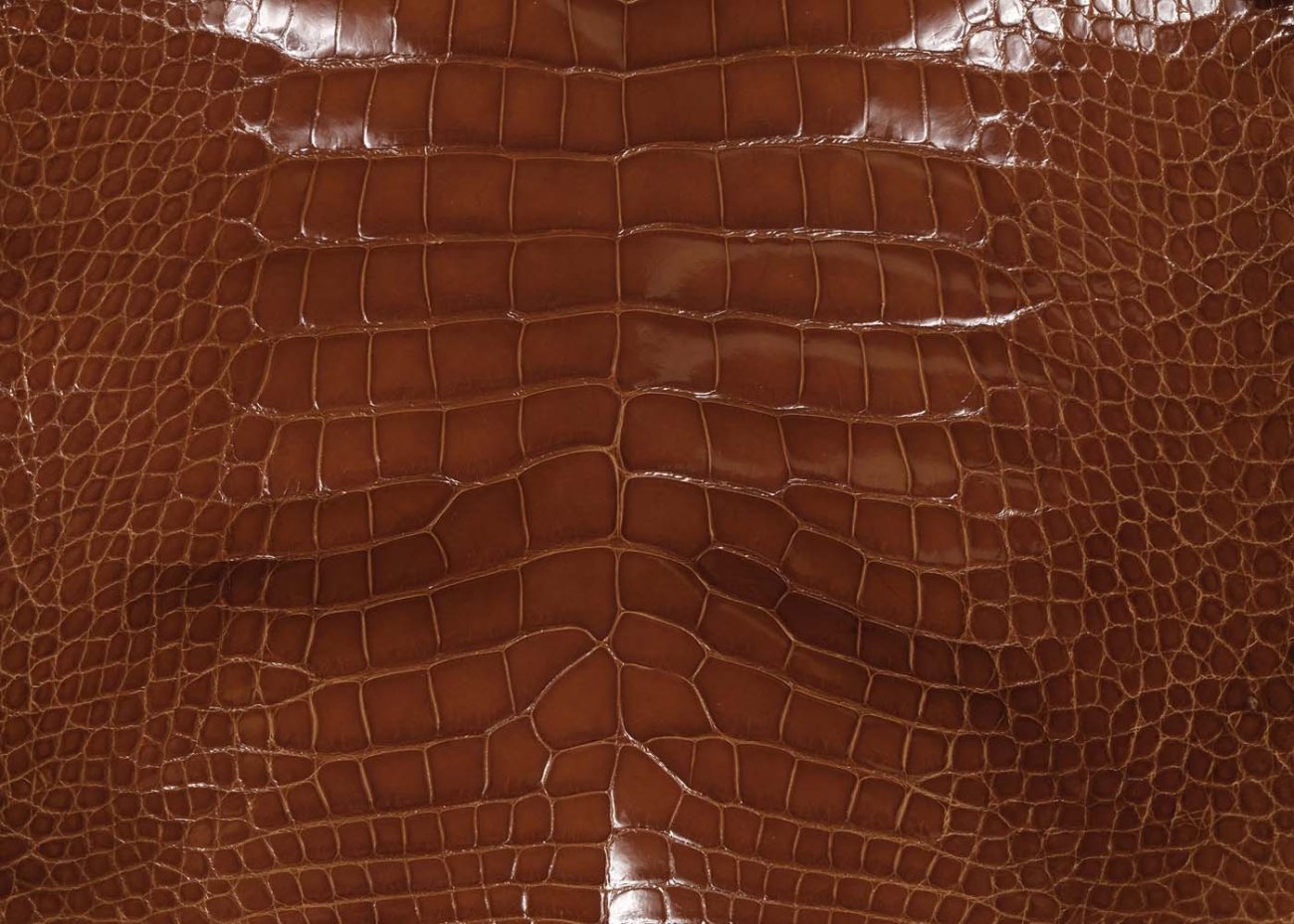 Ricco crocodile leather