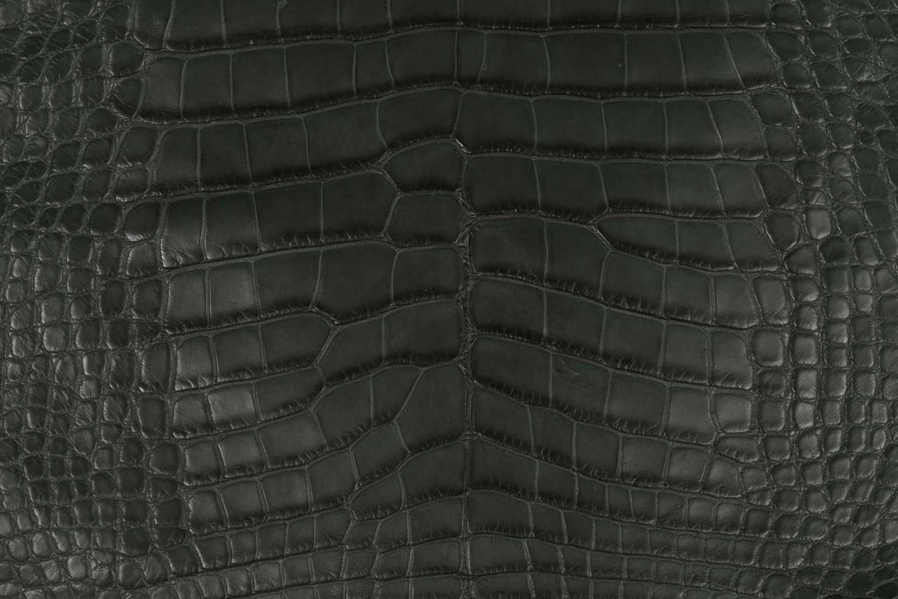 Ricco crocodile leather — CITES