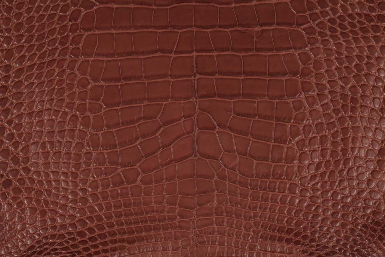 Ricco crocodile leather