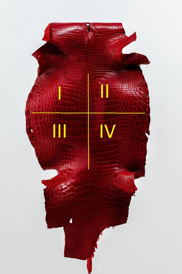 GRADING & MEASURING Ricco Leather Ricco leather tannery from Vietnam